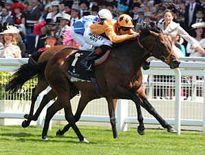 Canford Cliffs Wears Down Goldikova at Ascot Canford Cliffs Wears Down Goldikova at Ascot