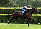 River Turf a Springboard for Royal Ascot? River Turf a Springboard for Royal Ascot?