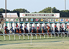 New Track Superintendent at Canterbury Park New Track Superintendent at Canterbury Park