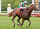 Quality Over Quantity in Turf Classic Quality Over Quantity in Turf Classic