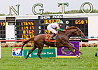 Cape Blanco Retired Due to Injury