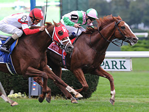 Cape Blanco Takes Turf Classic in a Dogfight Cape Blanco Takes Turf Classic in a Dogfight