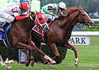Cape Blanco Takes Turf Classic in a Dogfight