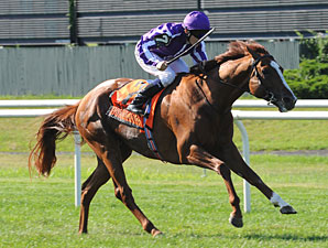 Cape Blanco Denies Gio Ponti in Man o' War