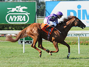 Turf Title Goes to Jetsetter Cape Blanco Turf Title Goes to Jetsetter Cape Blanco