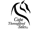 Cape Town Yearling Sale Starts Jan. 24
