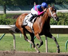 Capeside Lady Wins Molly Pitcher Capeside Lady Wins Molly Pitcher
