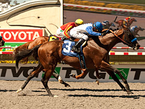 Capital Account, Coil One-Two in Pat O'Brien Capital Account, Coil One-Two in Pat O'Brien