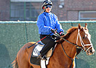 Capo Bastone Out of Dirt Mile; Entered at F-T Capo Bastone Out of Dirt Mile; Entered at F-T