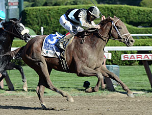 Capo Bastone Likely for Turf Sprint Capo Bastone Likely for Turf Sprint