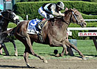 Capo Bastone Likely for Turf Sprint Capo Bastone Likely for Turf Sprint