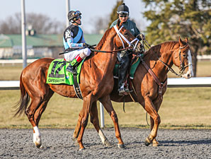 Capo Bastone Returns to Dirt in Derby Trial Capo Bastone Returns to Dirt in Derby Trial
