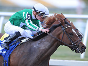 Ky. Derby Trail: Florida Follies Ky. Derby Trail: Florida Follies