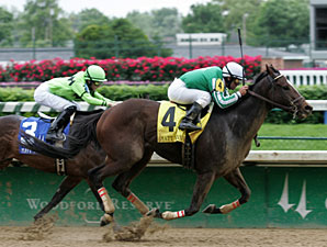 Capt. Candyman Can Wins Matt Winn Stakes Capt. Candyman Can Wins Matt Winn Stakes