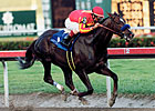 Stallion Captain Steve Dies in Japan Stallion Captain Steve Dies in Japan