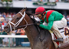 Captain's Lover Romps in Sloppy Matchmaker Captain's Lover Romps in Sloppy Matchmaker
