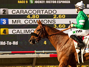 Caracortado Heads BC Works at Santa Anita Caracortado Heads BC Works at Santa Anita