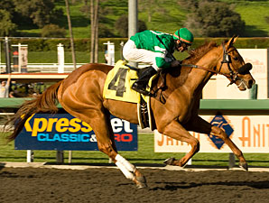 Caracortado May Face 'Lucky in San Felipe Caracortado May Face 'Lucky in San Felipe