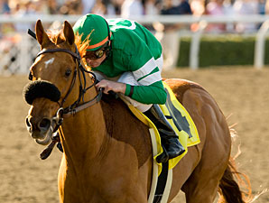 Streak On Line for Caracortado in San Felipe Streak On Line for Caracortado in San Felipe