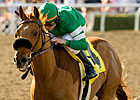 Streak On Line for Caracortado in San Felipe Streak On Line for Caracortado in San Felipe