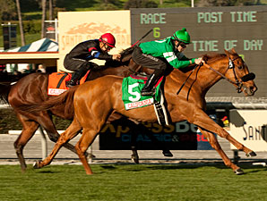 Caracortado Shows His Turf Chops in Millions Caracortado Shows His Turf Chops in Millions