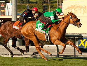 Unlikely Caracortado Among Kilroe Favorites Unlikely Caracortado Among Kilroe Favorites