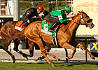 Caracortado: Lightning in a Bottle