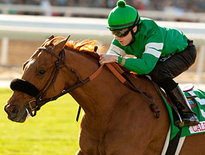 Caracortado Posts Bullet Work at Santa Anita Caracortado Posts Bullet Work at Santa Anita
