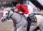 Ladies Classic Has Appeal Even Minus Zenyatta