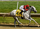 Careless Jewel Steals Delaware Oaks at 10-1 Careless Jewel Steals Delaware Oaks at 10-1