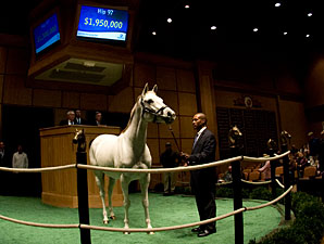 Guillot Buys Careless Jewel for $1.95 Million Guillot Buys Careless Jewel for $1.95 Million