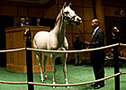 Guillot Buys Careless Jewel for $1.95 Million