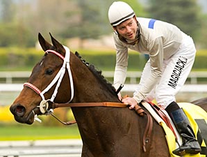 Filly Carlsbad Suffers Fatal Breakdown Filly Carlsbad Suffers Fatal Breakdown