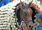 You Make the Call: 2010 Belmont