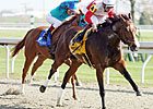 Carriage Trail Scores in Doubledogdare