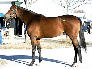 Carribean Sunset Goes for $1 Million Carribean Sunset Goes for $1 Million