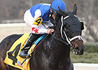 Carve Shows Oaklawn Affinity in Fifth Season Carve Shows Oaklawn Affinity in Fifth Season