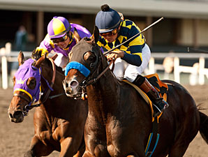 Baffert Quartet Likely for CashCall Futurity Baffert Quartet Likely for CashCall Futurity