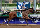 Cary Street Leads 11 in Hawthorne Gold Cup Cary Street Leads 11 in Hawthorne Gold Cup