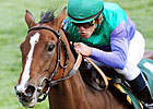 La Prevoyante Draws Solid Field of 11