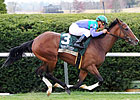 Casablanca Smile Lets Time Go By in Dowager
