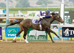 Juvenile Fillies Preview: Free for All Juvenile Fillies Preview: Free for All