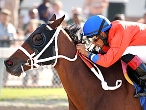 Harlan's Holiday Stakes Attracts Top Runners