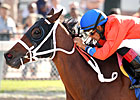 Harlan's Holiday Stakes Attracts Top Runners