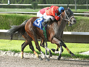 Local Favorite Cash Rules Takes Spend a Buck Local Favorite Cash Rules Takes Spend a Buck