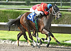 Local Favorite Cash Rules Takes Spend a Buck Local Favorite Cash Rules Takes Spend a Buck