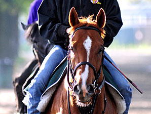 Casino Drive 50-50 for Wednesday Breeze Casino Drive 50-50 for Wednesday Breeze