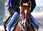 Casino Drive 50-50 for Wednesday Breeze
