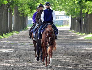 Belmont Doings: Born for the Belmont Belmont Doings: Born for the Belmont