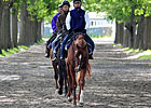 Belmont Doings: Born for the Belmont